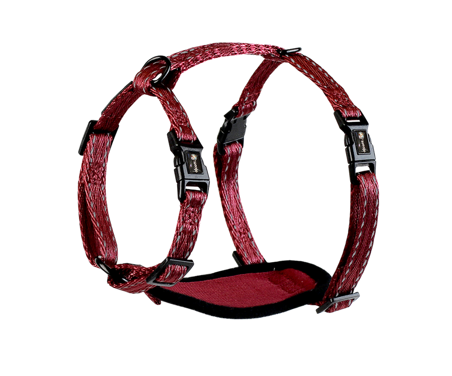 adventure harness