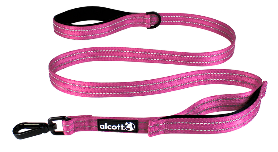 traffic leash