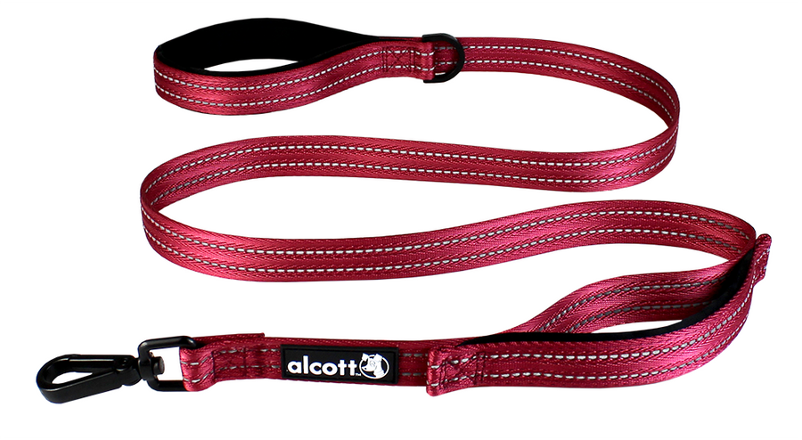 traffic leash