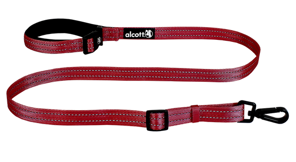ORANGE DOG COLLAR BULK LOT PACKS 4 Sizes Nylon Litter Band Puppy Rescue Shelter Medium 14 To 20 Inch 25 Collars ORANGE DOG COLLAR BULK LOT PACKS 4 Sizes Nylon Litter Band Puppy Rescue Shelter Medium 14 To 20 Inch 25 Collars