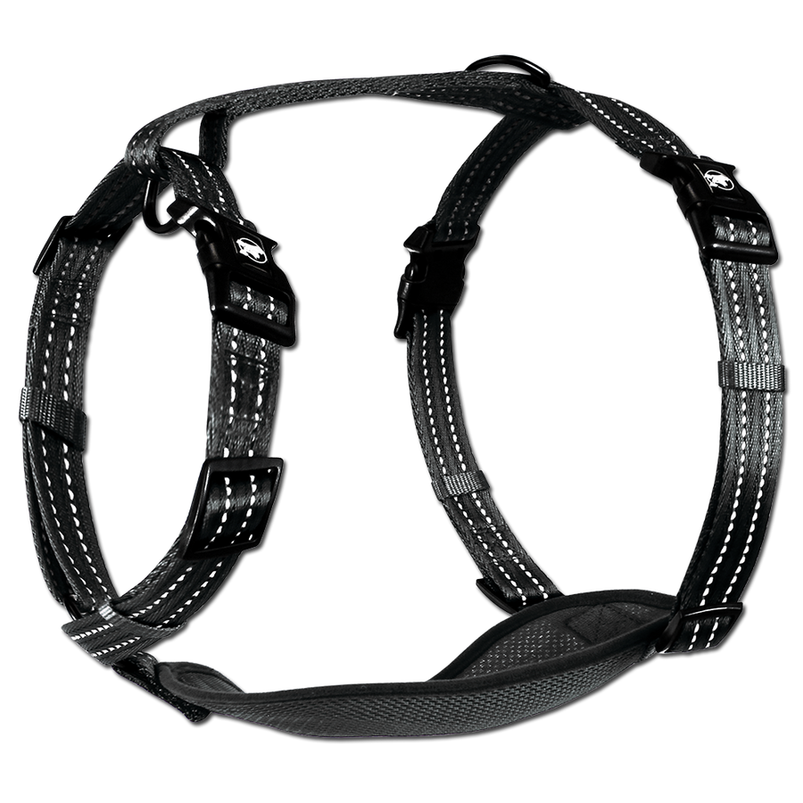 adventure harness