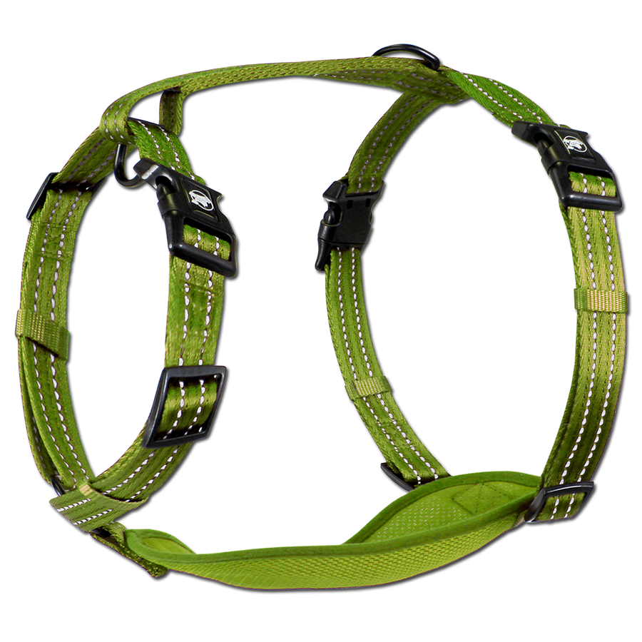 adventure harness