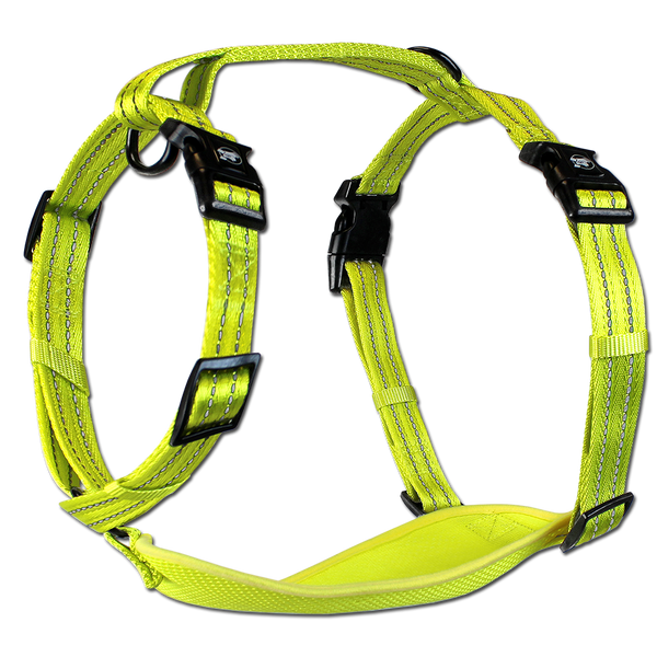 adventure harnesses