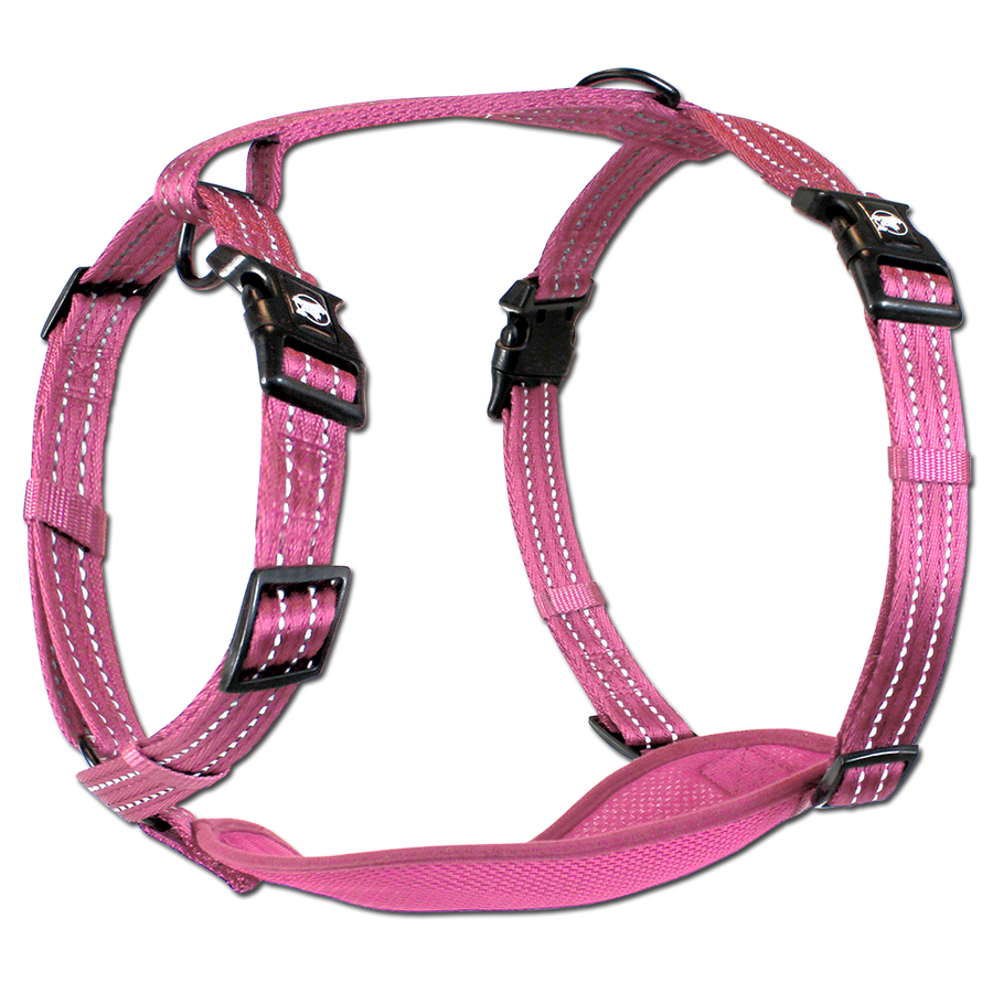 adventure harness