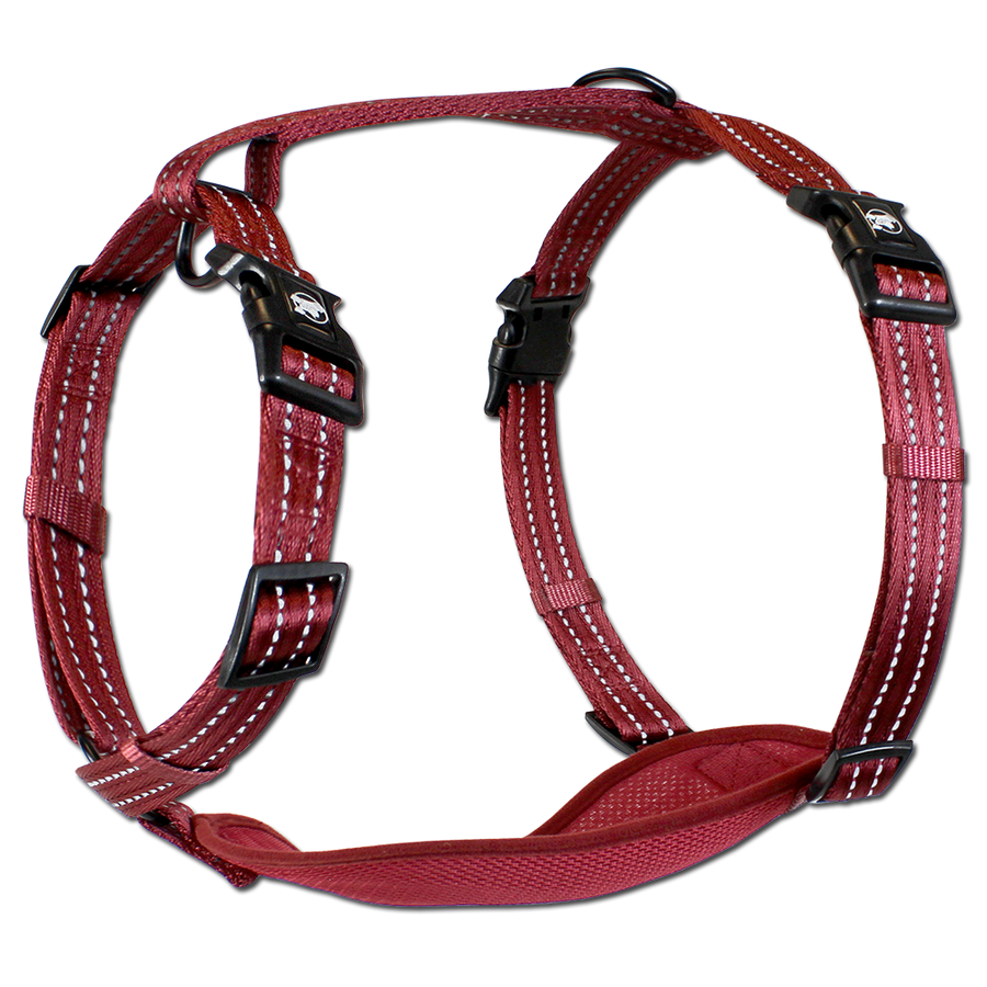 adventure harness