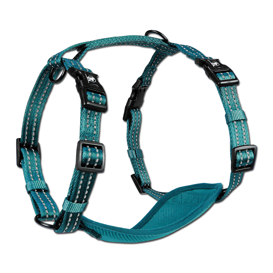 adventure harness