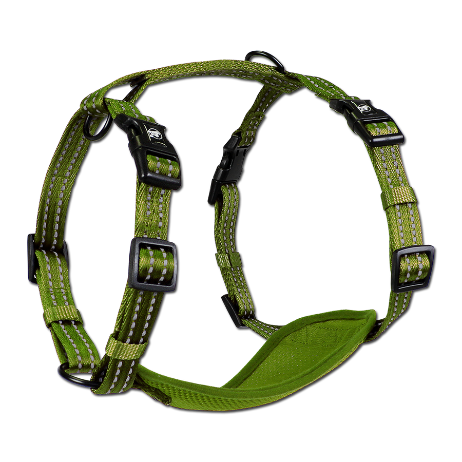 adventure harness
