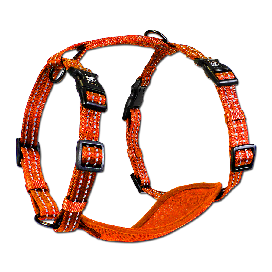 adventure harness