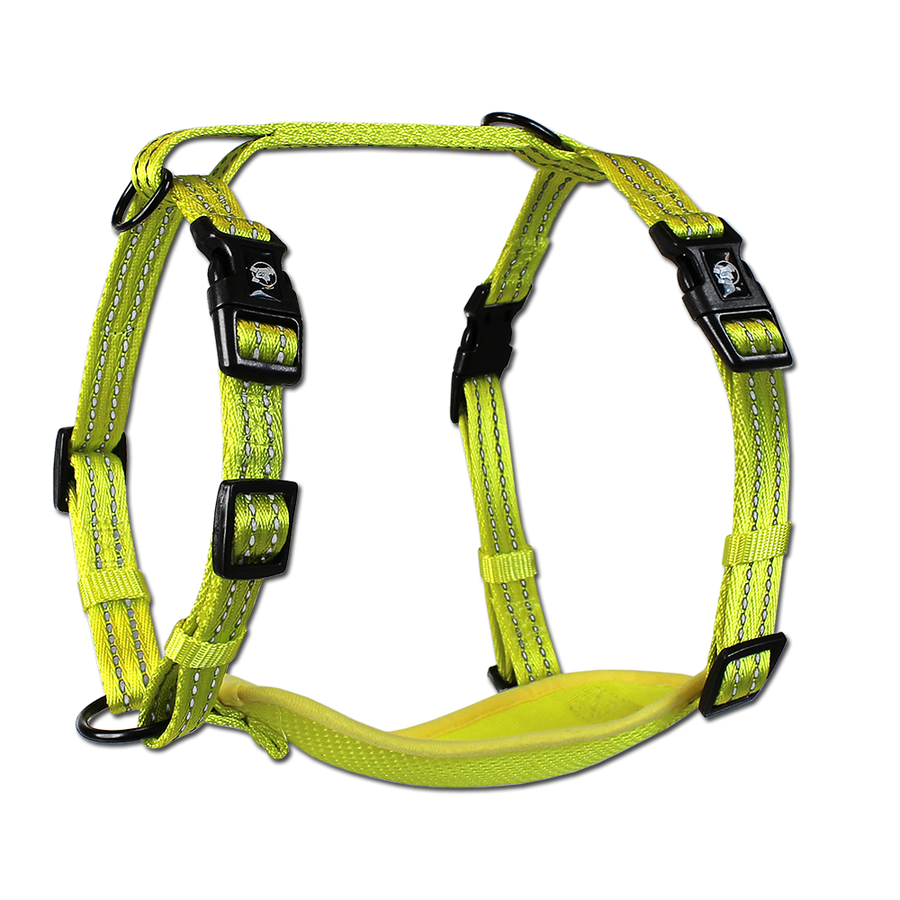adventure harness
