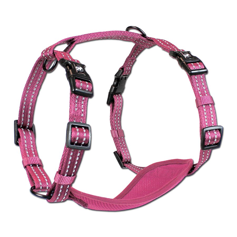 adventure harness