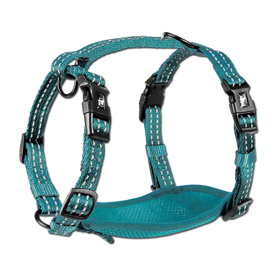 adventure harness