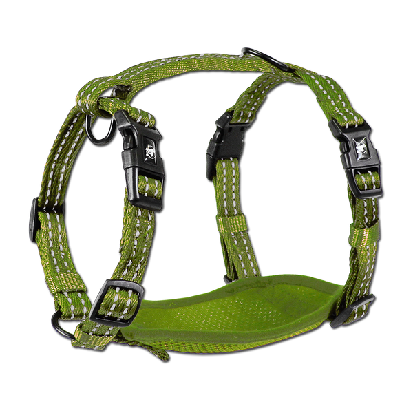 adventure harnesses