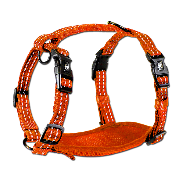 adventure harnesses