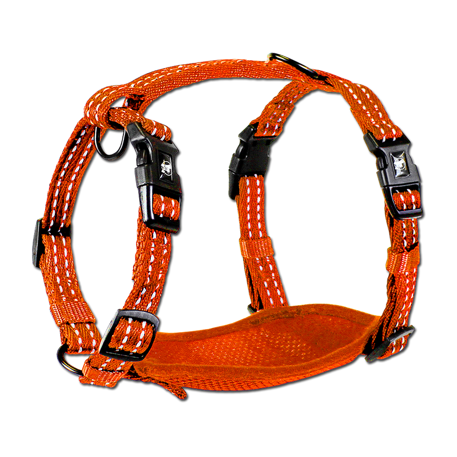 adventure harness