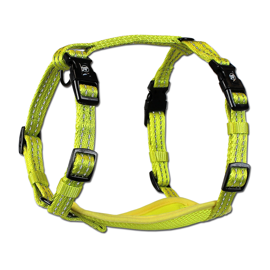 adventure harness
