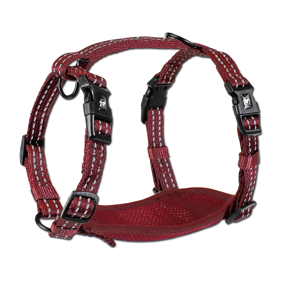 adventure harness